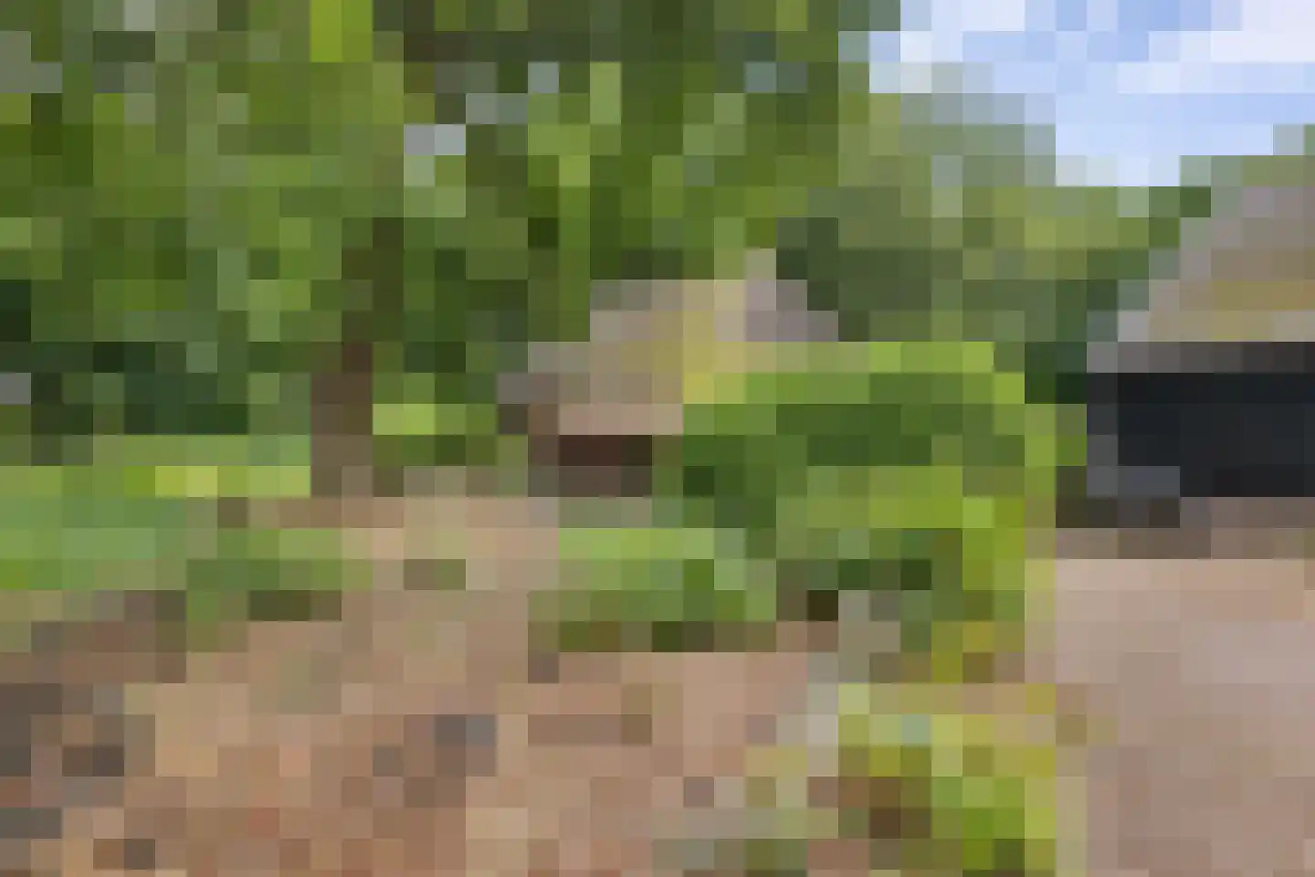 Scheperweg 2 Tynaarlo thumbnail 9