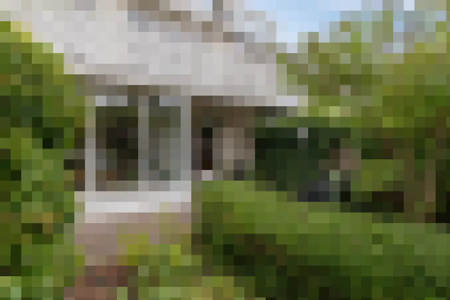 Scheperweg 24 Haren Gn thumbnail 41