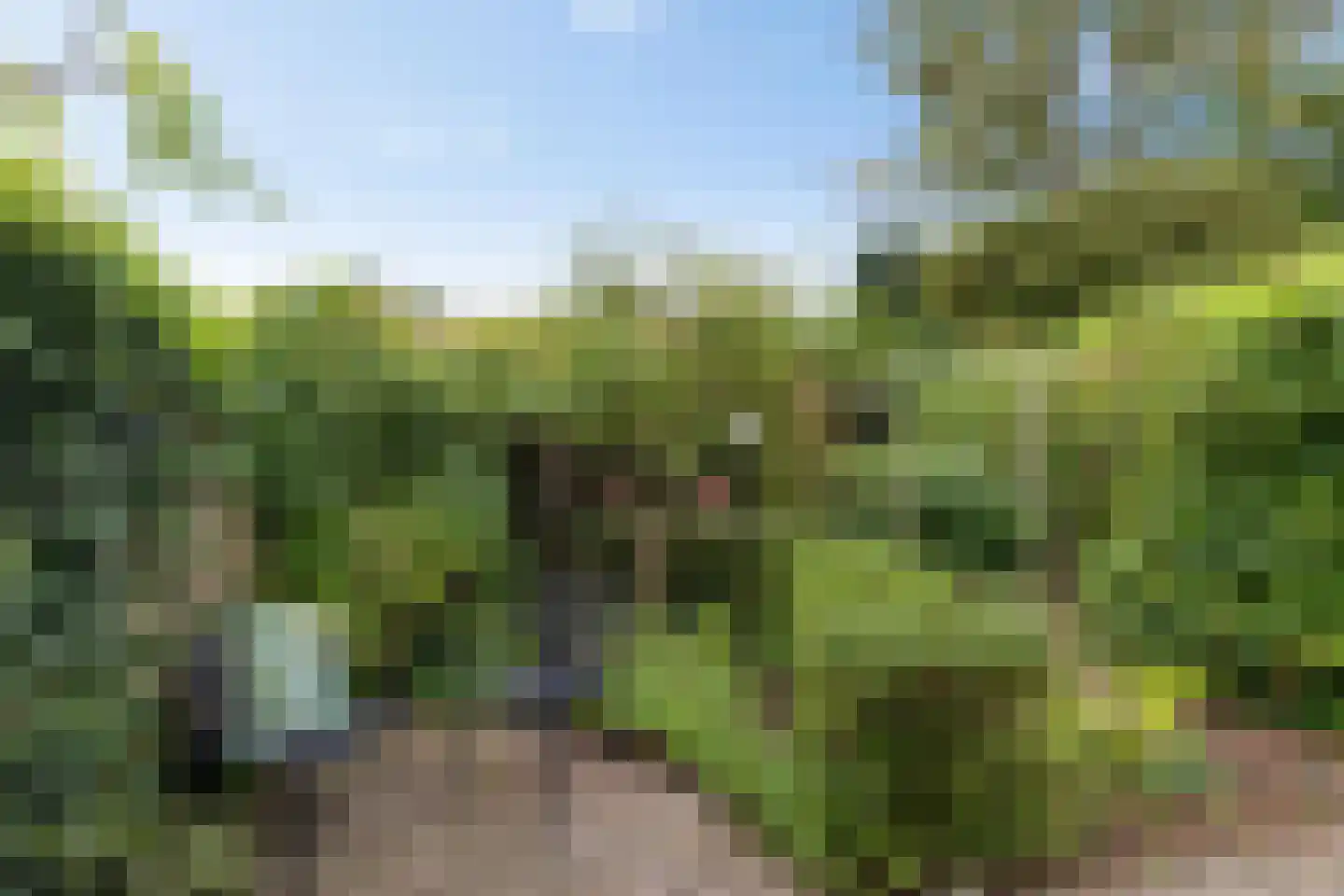 Scheperweg 24 Haren Gn thumbnail 43