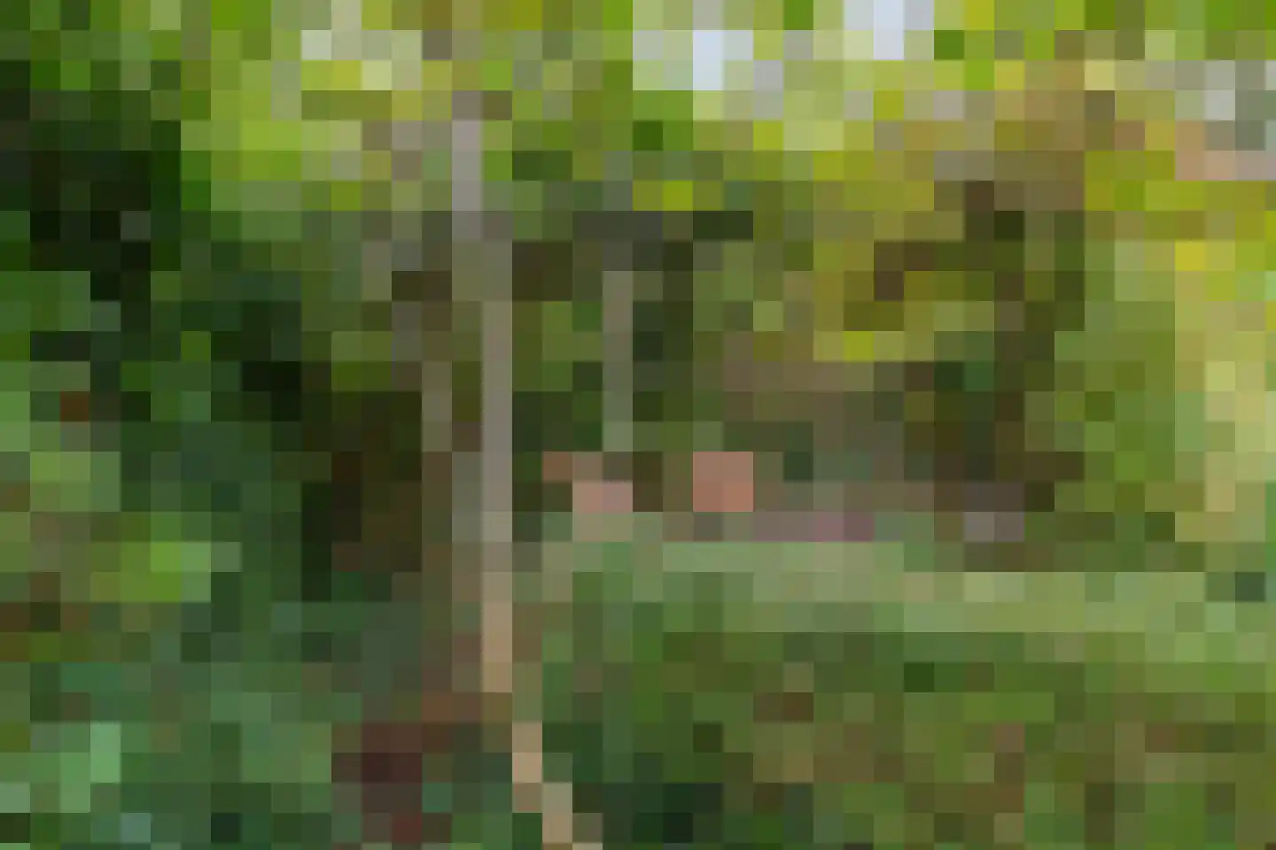 Scheperweg 24 Haren Gn thumbnail 44