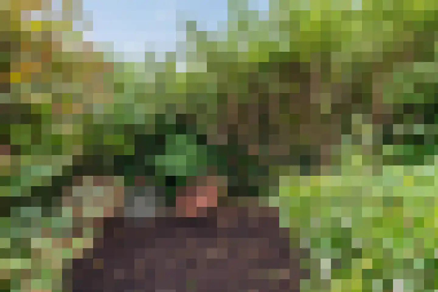 Scheperweg 24 Haren Gn thumbnail 45