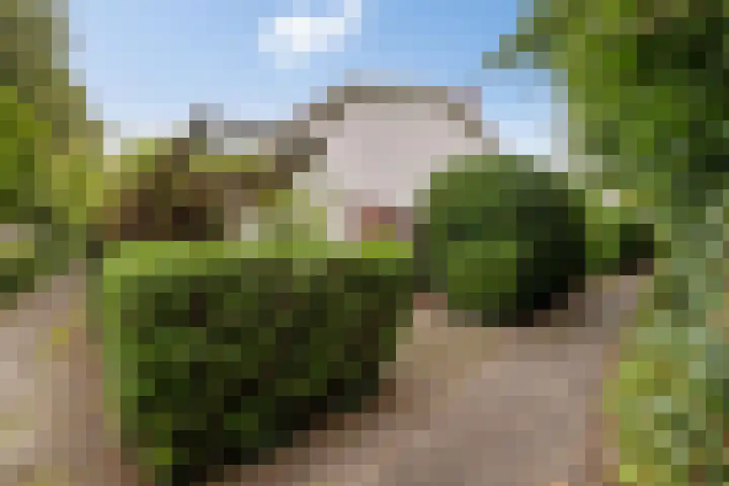 Scheperweg 24 Haren Gn thumbnail 48