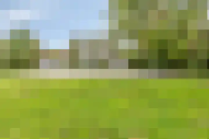 Scheperweg 27 Haren Gn thumbnail 36