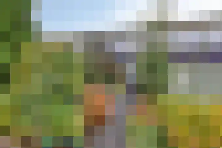 Scheperweg 27 Haren Gn thumbnail 5