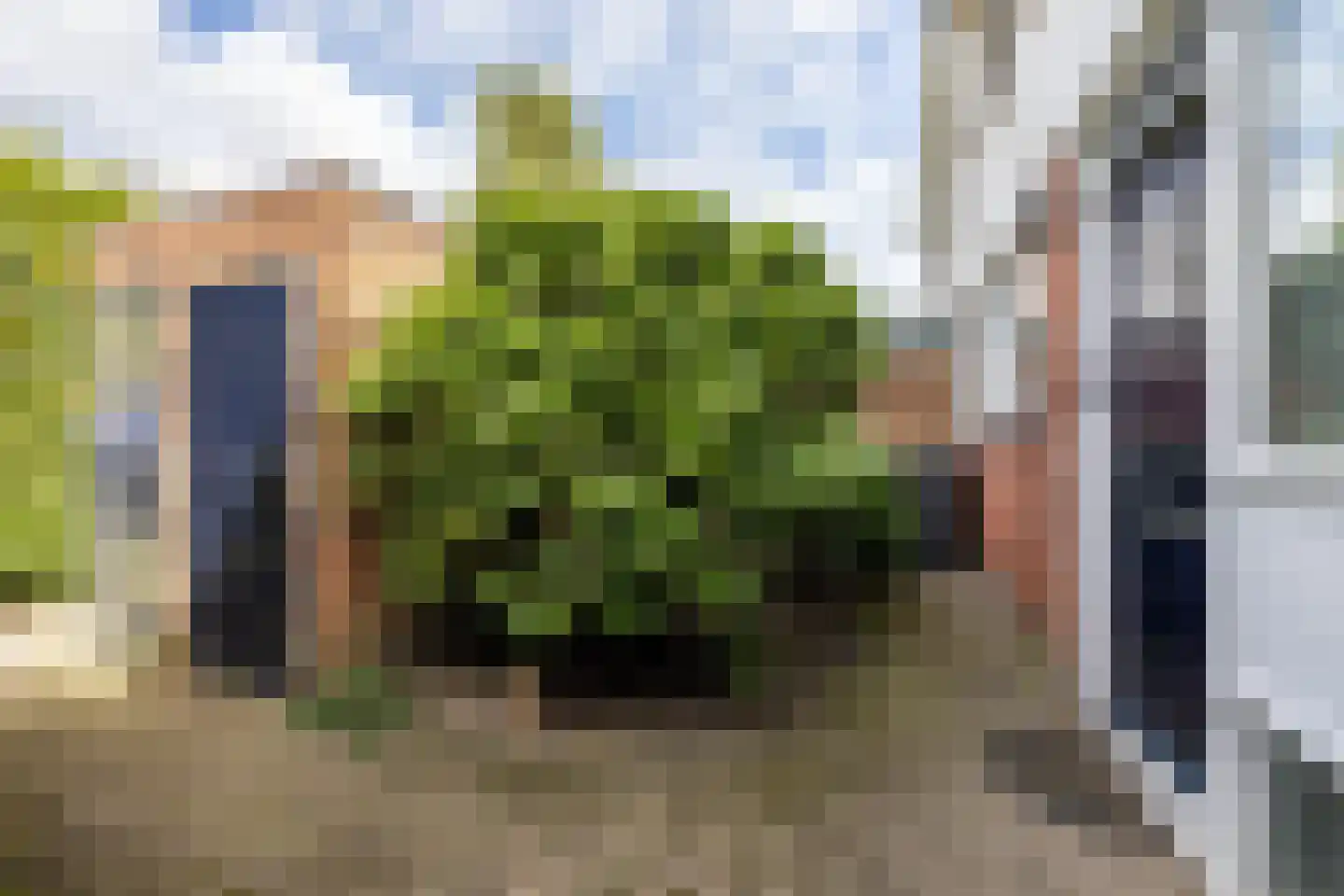 Scheperweg 40 Haren Gn thumbnail 10