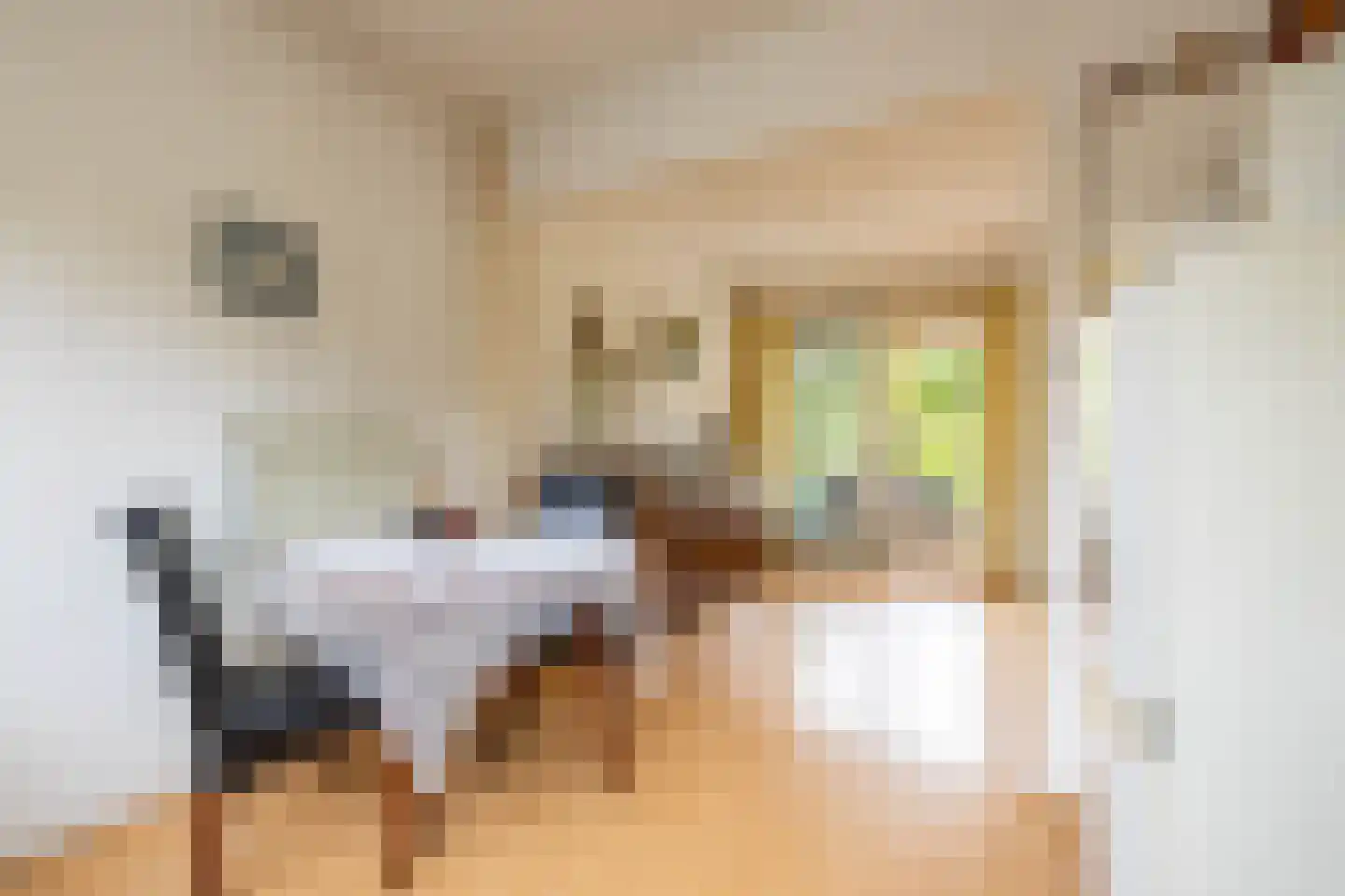 Scheperweg 40 Haren Gn thumbnail 22