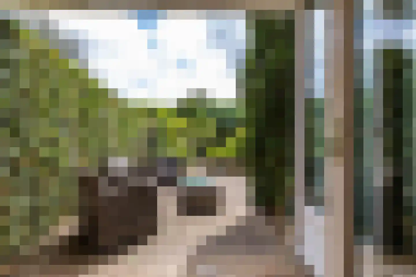 Scheperweg 40 Haren Gn thumbnail 23
