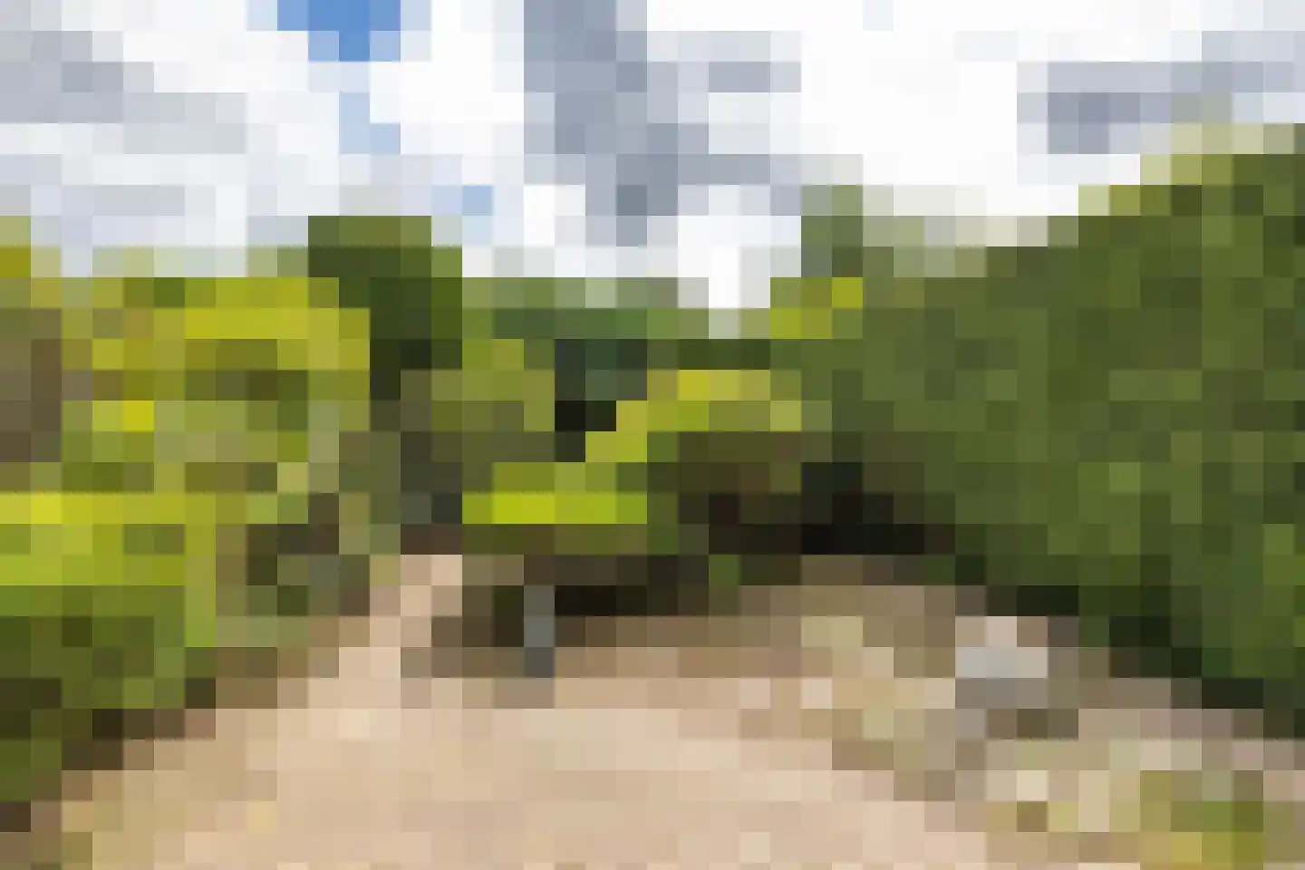 Scheperweg 40 Haren Gn thumbnail 25
