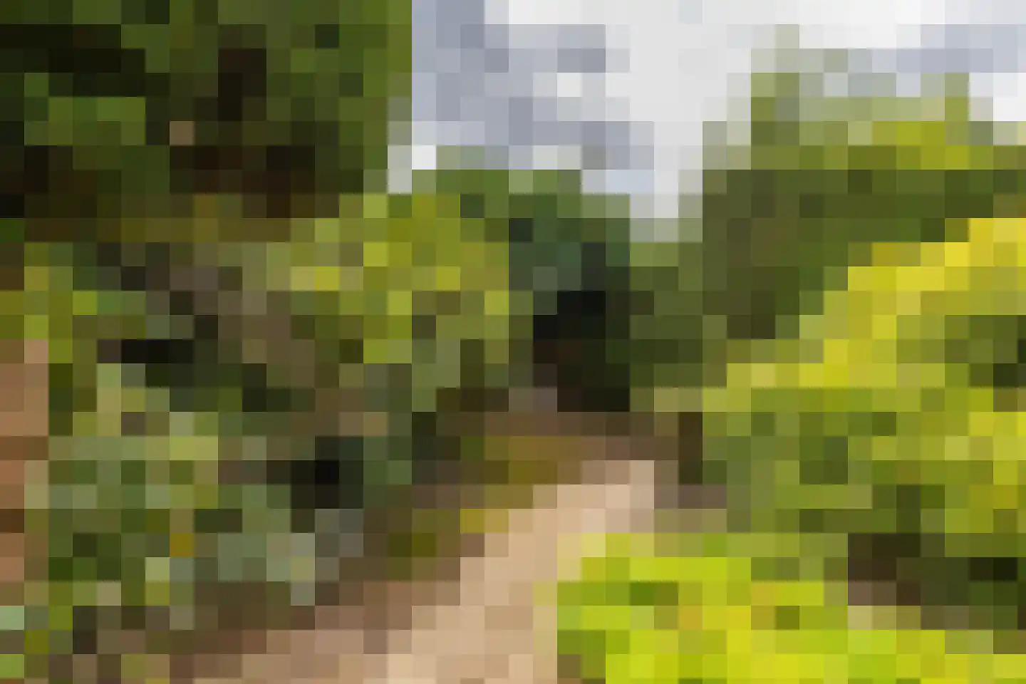 Scheperweg 40 Haren Gn thumbnail 26
