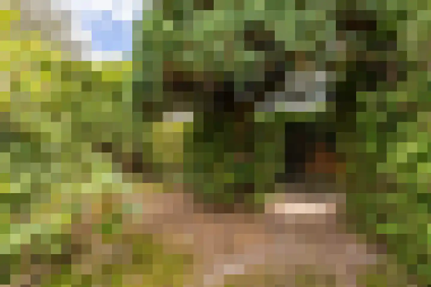 Scheperweg 40 Haren Gn thumbnail 27