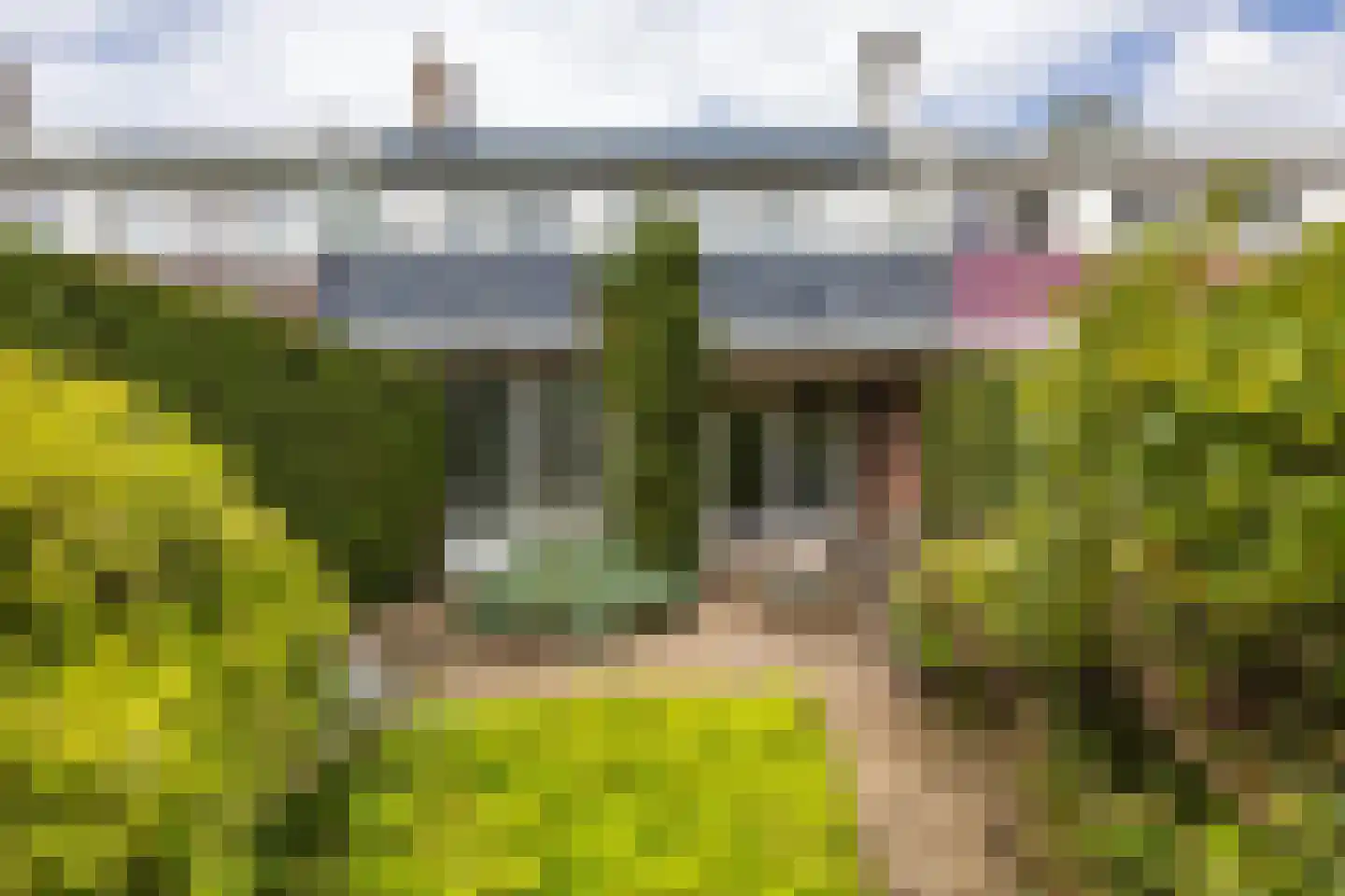Scheperweg 40 Haren Gn thumbnail 29