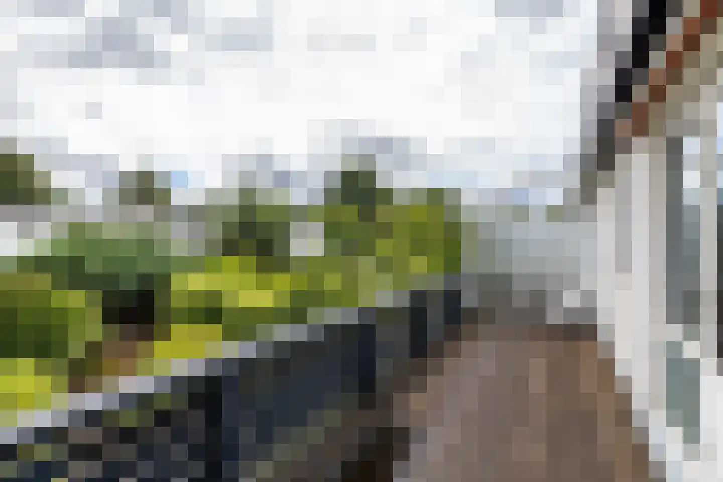 Scheperweg 40 Haren Gn thumbnail 39