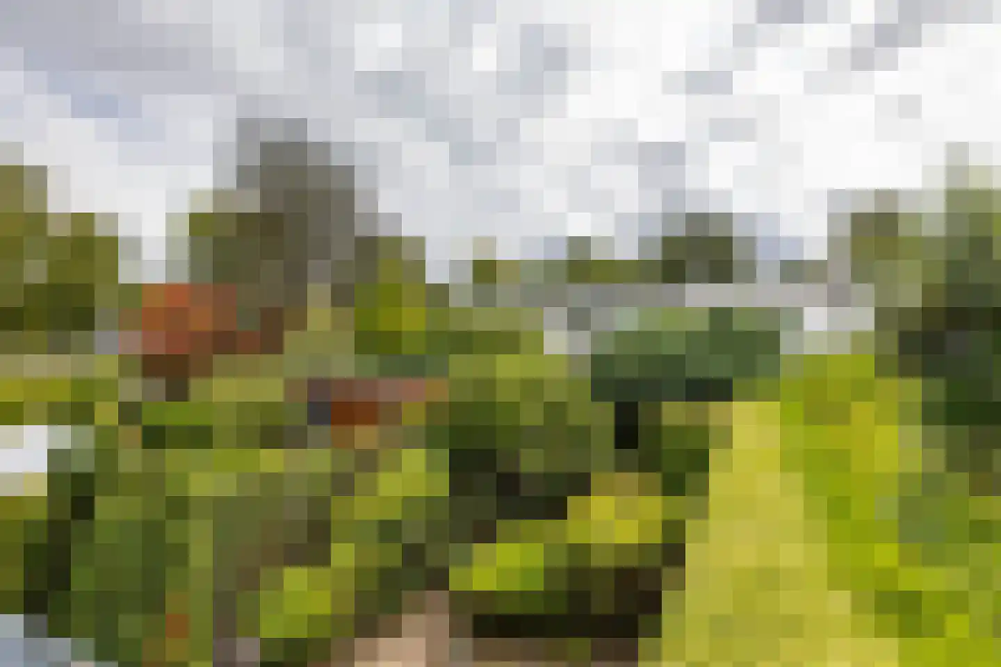 Scheperweg 40 Haren Gn thumbnail 5
