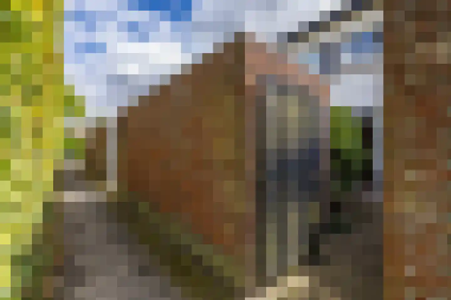 Scheperweg 40 Haren Gn thumbnail 7