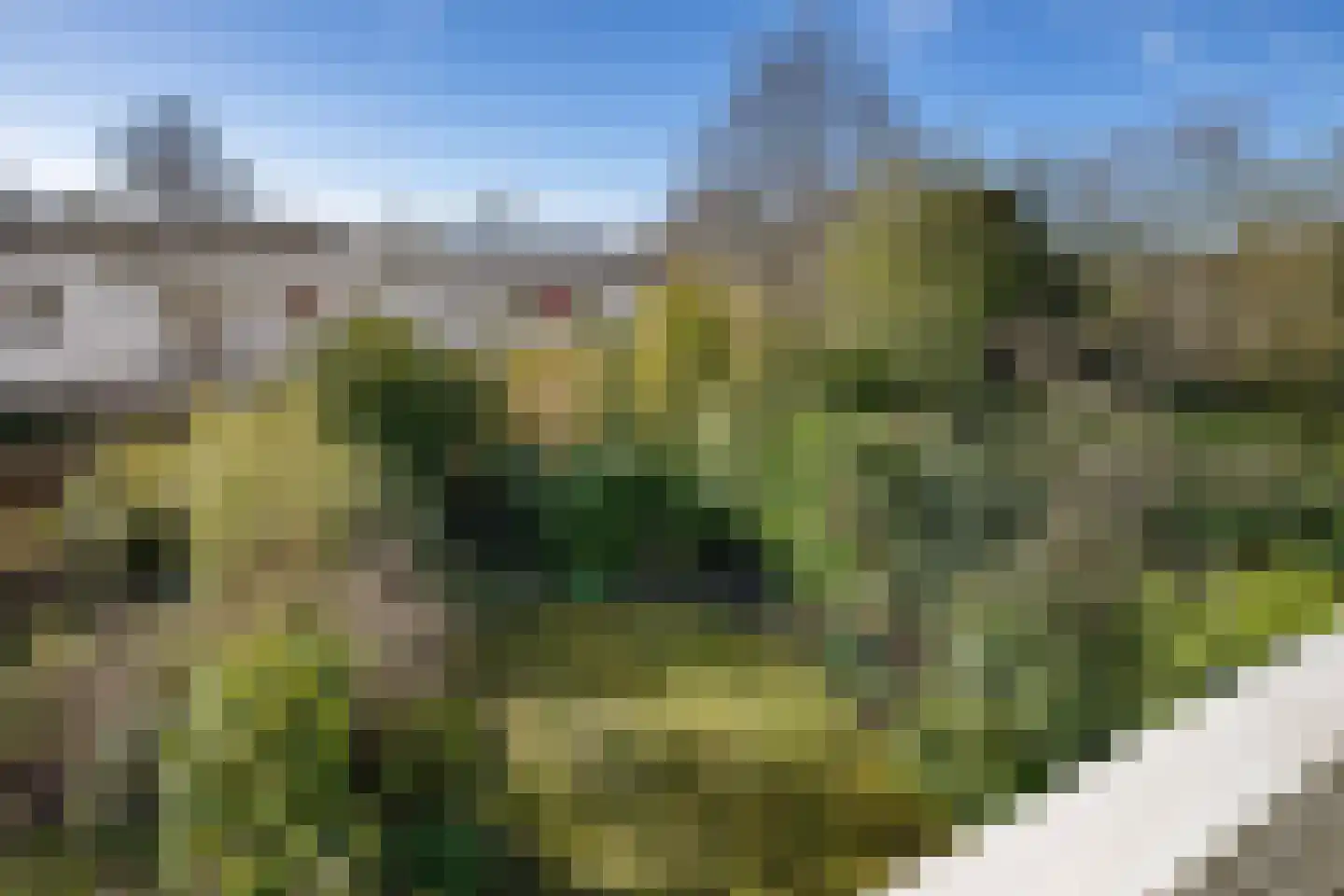 Scheperweg 46 Haren Gn thumbnail 32