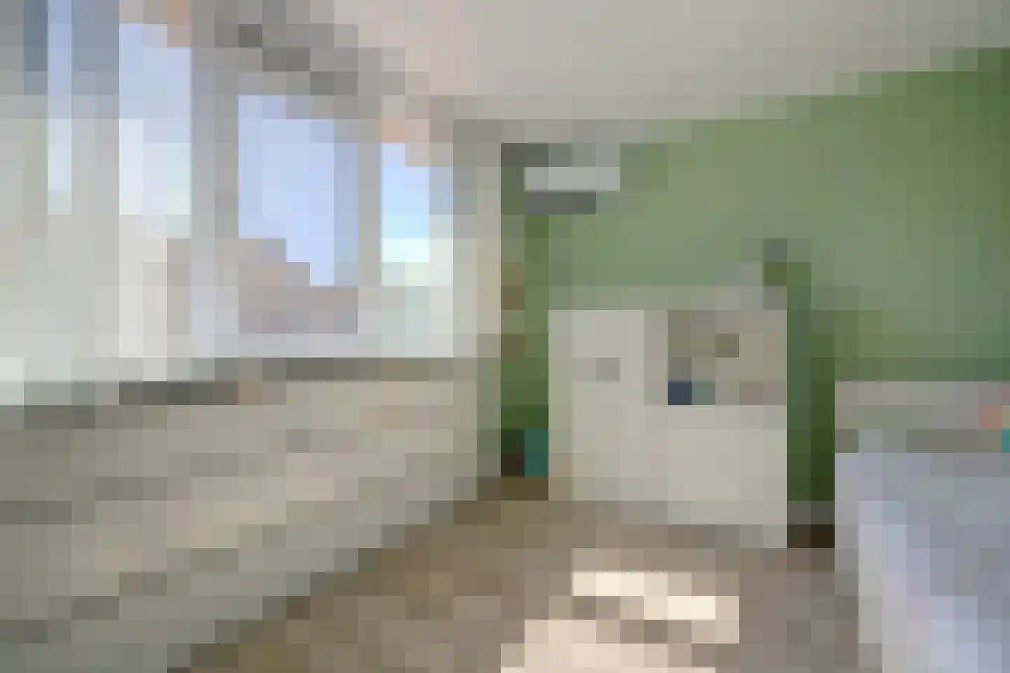 Schepnet 1 Hoogvliet Rotterdam thumbnail 13