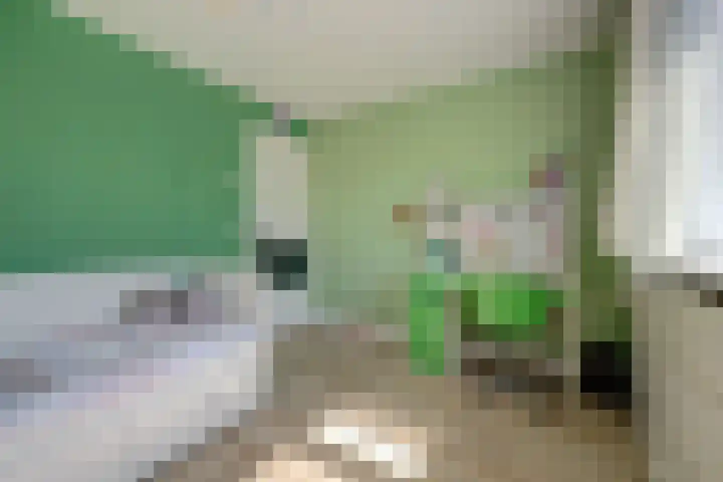 Schepnet 1 Hoogvliet Rotterdam thumbnail 14