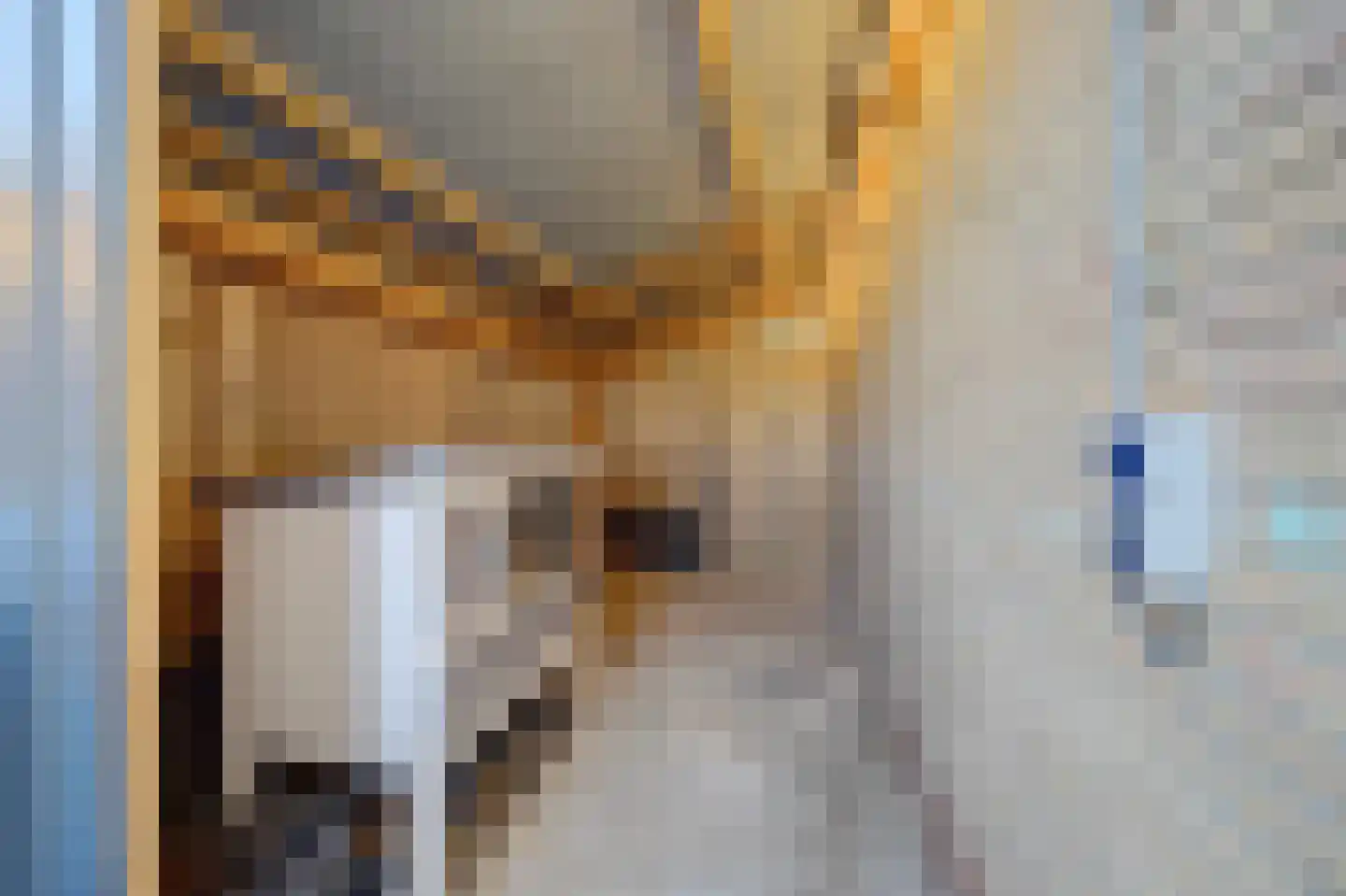 Schepnet 1 Hoogvliet Rotterdam thumbnail 30