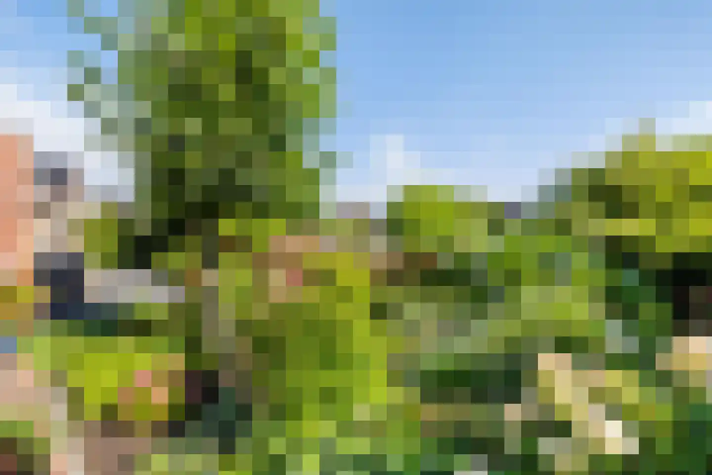 Schepperij 12 Meerstad thumbnail 23