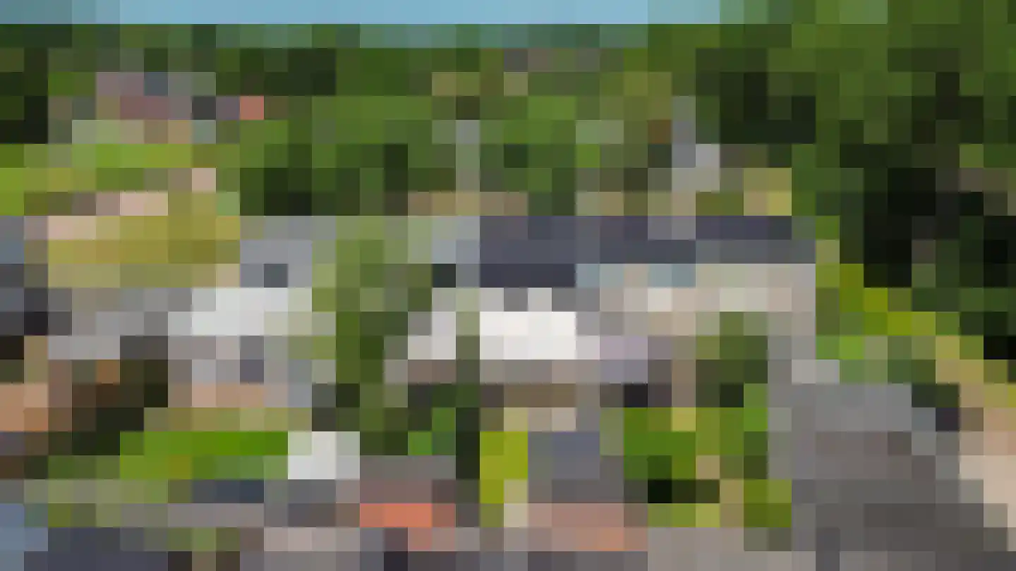 Schepperijlaan 30 Winsum thumbnail 5