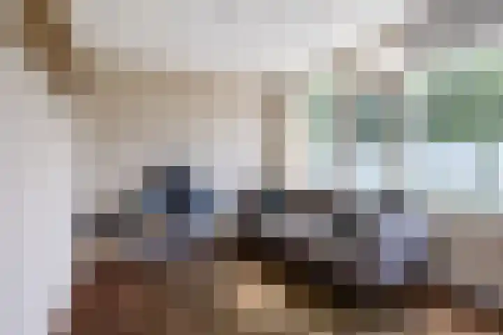 Schepperijlaan 36 Winsum thumbnail 12