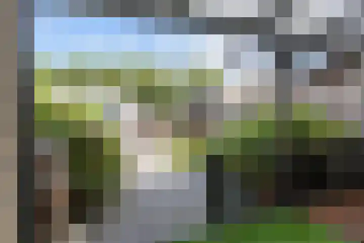 Schepperijlaan 36 Winsum thumbnail 15