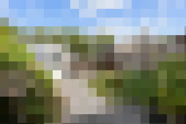 Schepperijlaan 36 Winsum thumbnail 16