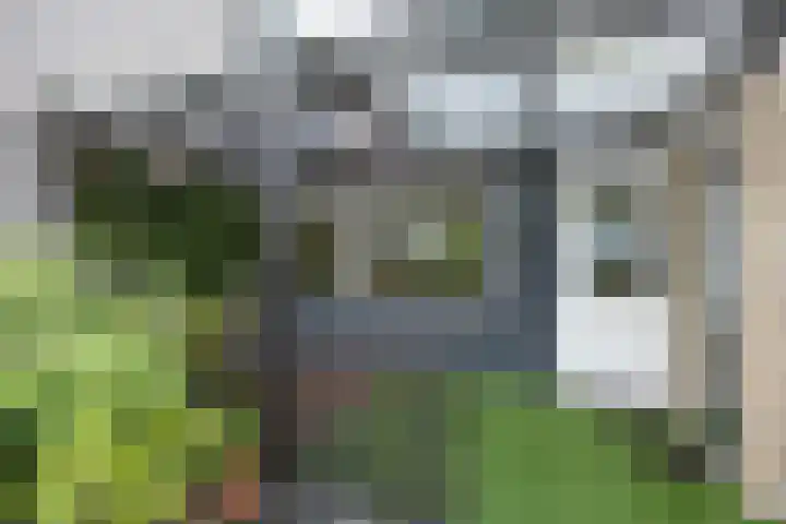 Schepperijlaan 36 Winsum thumbnail 19