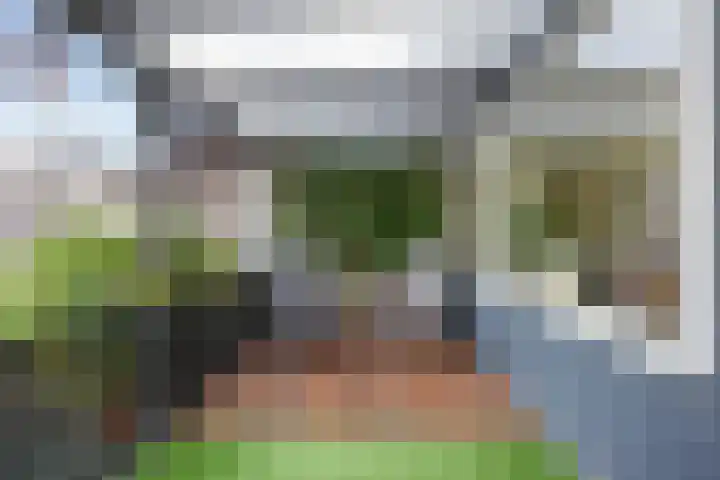 Schepperijlaan 36 Winsum thumbnail 20