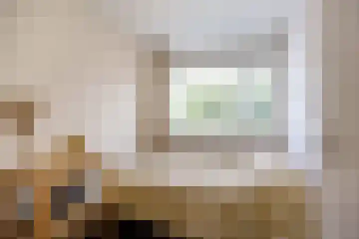 Schepperijlaan 36 Winsum thumbnail 9
