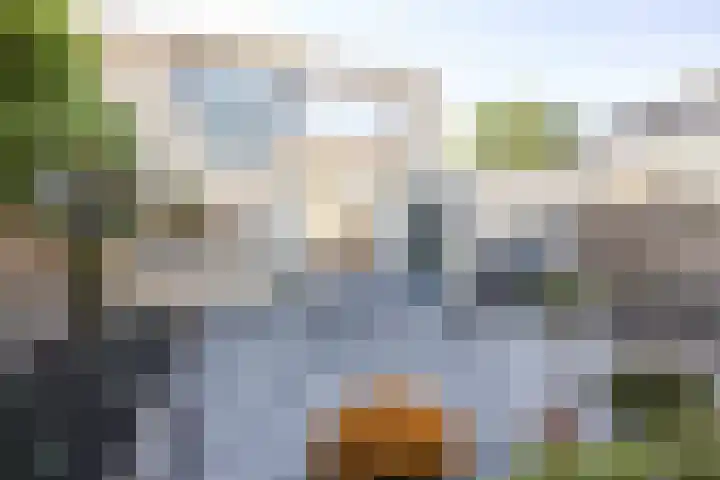 Schepperijlaan 52 Winsum thumbnail 26