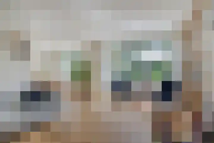 Schepperijlaan 58 Winsum thumbnail 11
