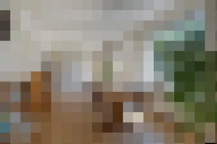 Schepperijlaan 58 Winsum thumbnail 13