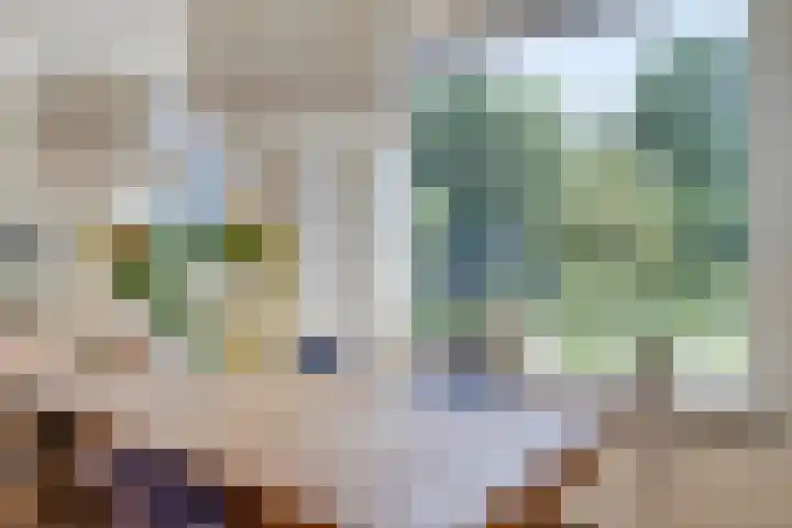 Schepperijlaan 58 Winsum thumbnail 15
