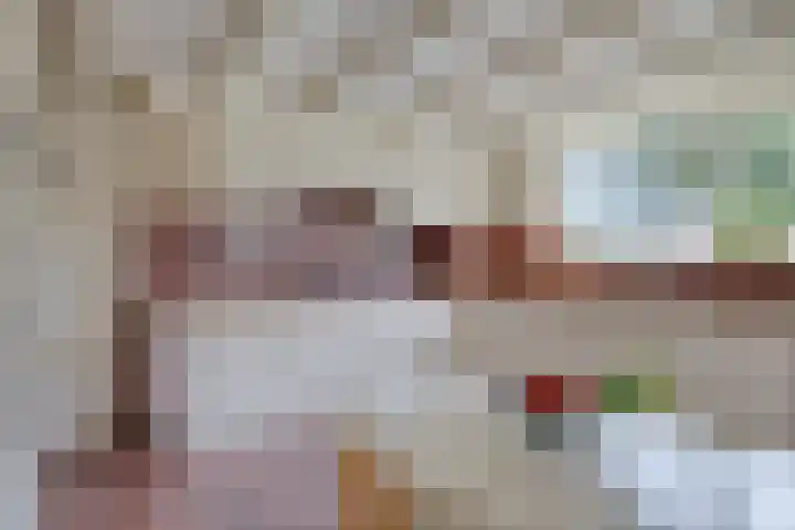 Schepperijlaan 58 Winsum thumbnail 16