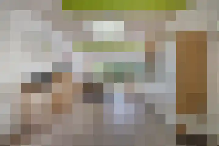 Schepperijlaan 58 Winsum thumbnail 21