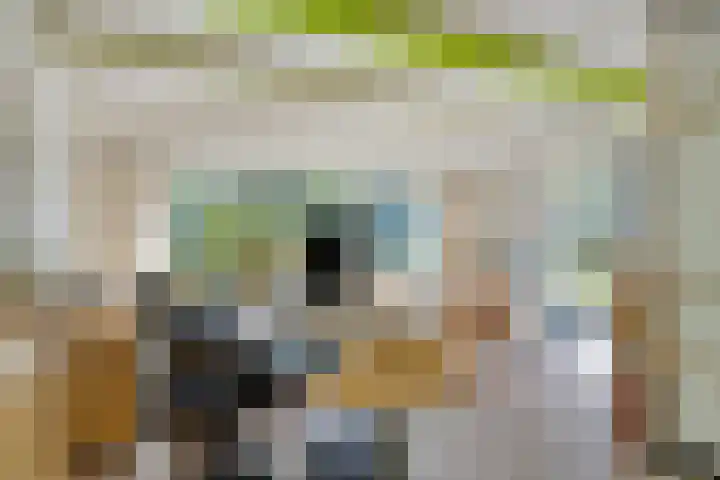 Schepperijlaan 58 Winsum thumbnail 22