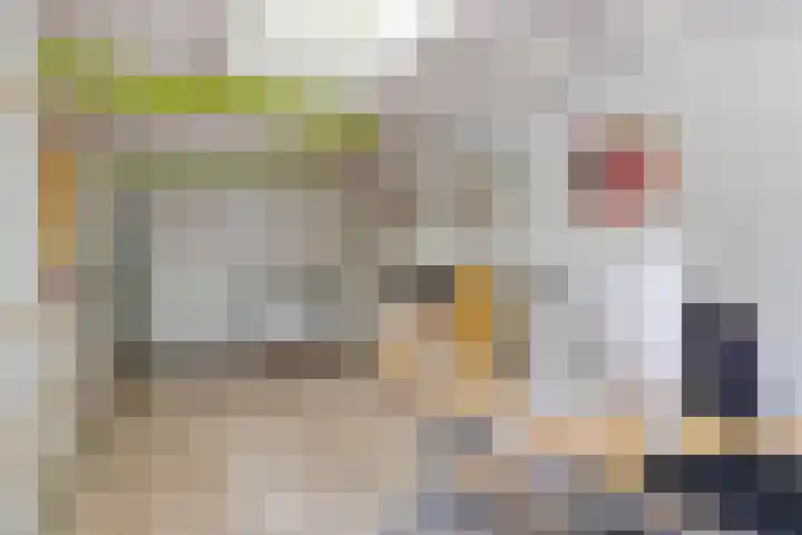 Schepperijlaan 58 Winsum thumbnail 23