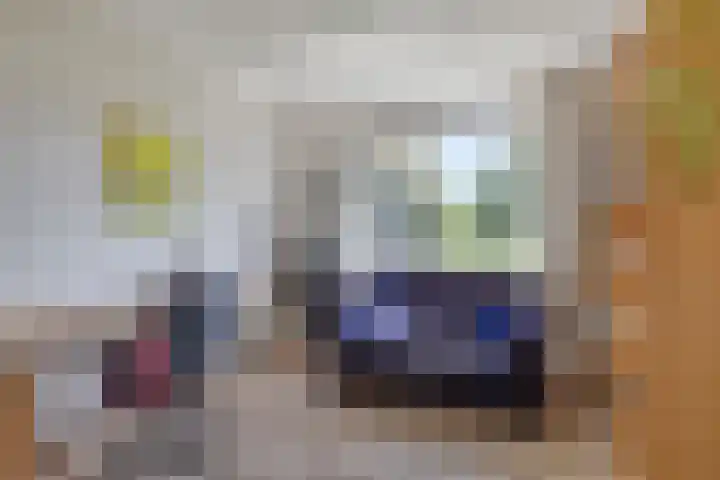 Schepperijlaan 58 Winsum thumbnail 32