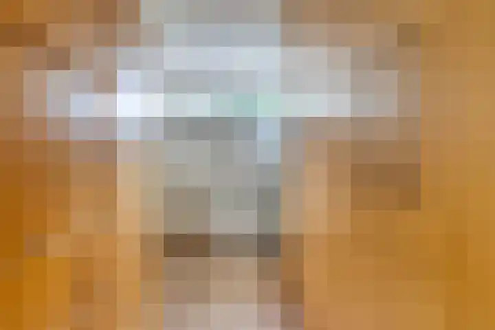 Schepperijlaan 58 Winsum thumbnail 35