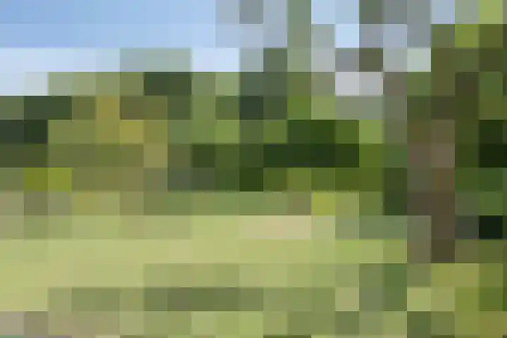Schepperijlaan 58 Winsum thumbnail 36