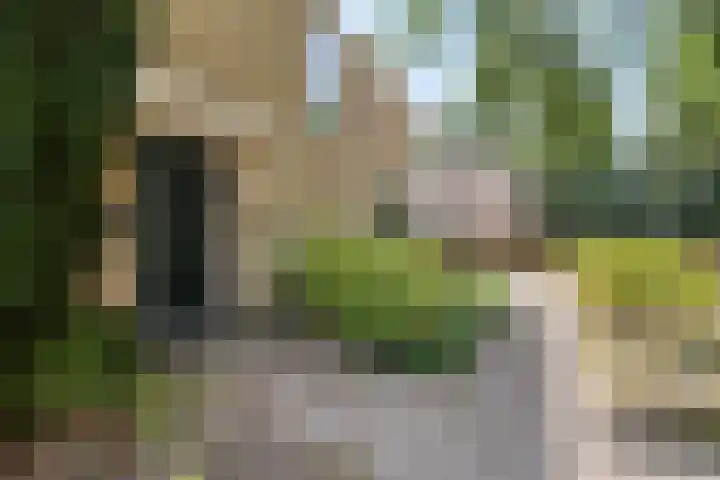 Schepperijlaan 58 Winsum thumbnail 4