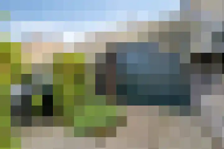 Schepperijlaan 58 Winsum thumbnail 5