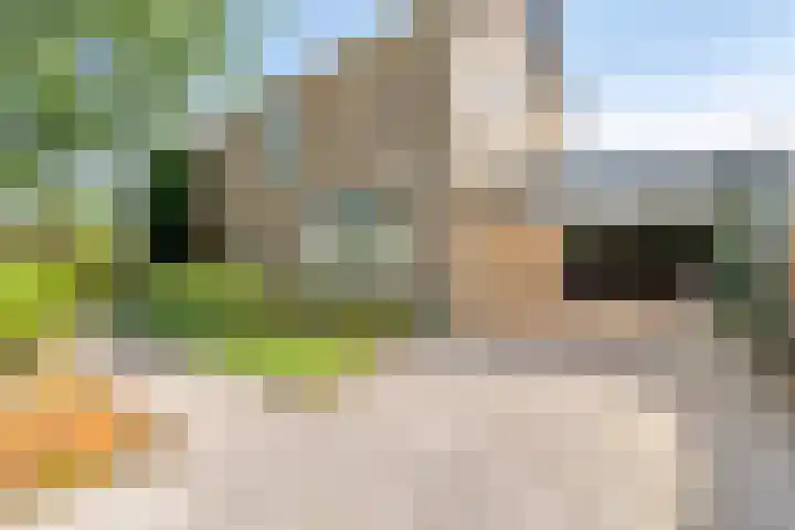 Schepperijlaan 58 Winsum thumbnail 6