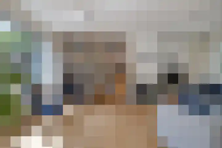 Schepperijlaan 58 Winsum thumbnail 8