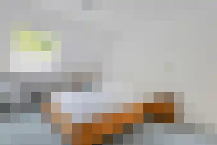 Scheppinckmate 51 Zwolle thumbnail 16