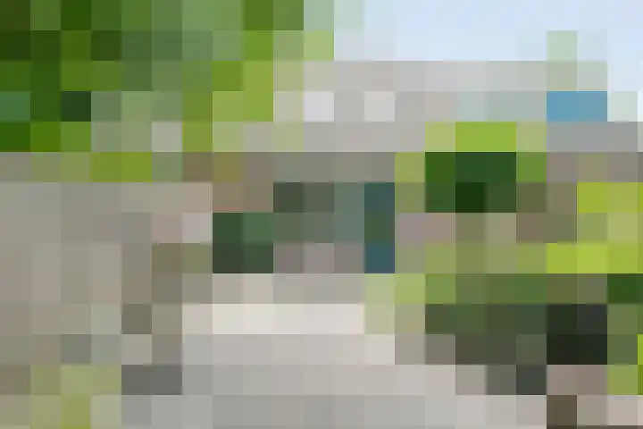 Scheppinckmate 51 Zwolle thumbnail 26