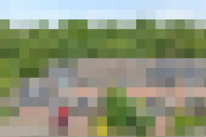 Scheppinckmate 51 Zwolle thumbnail 35