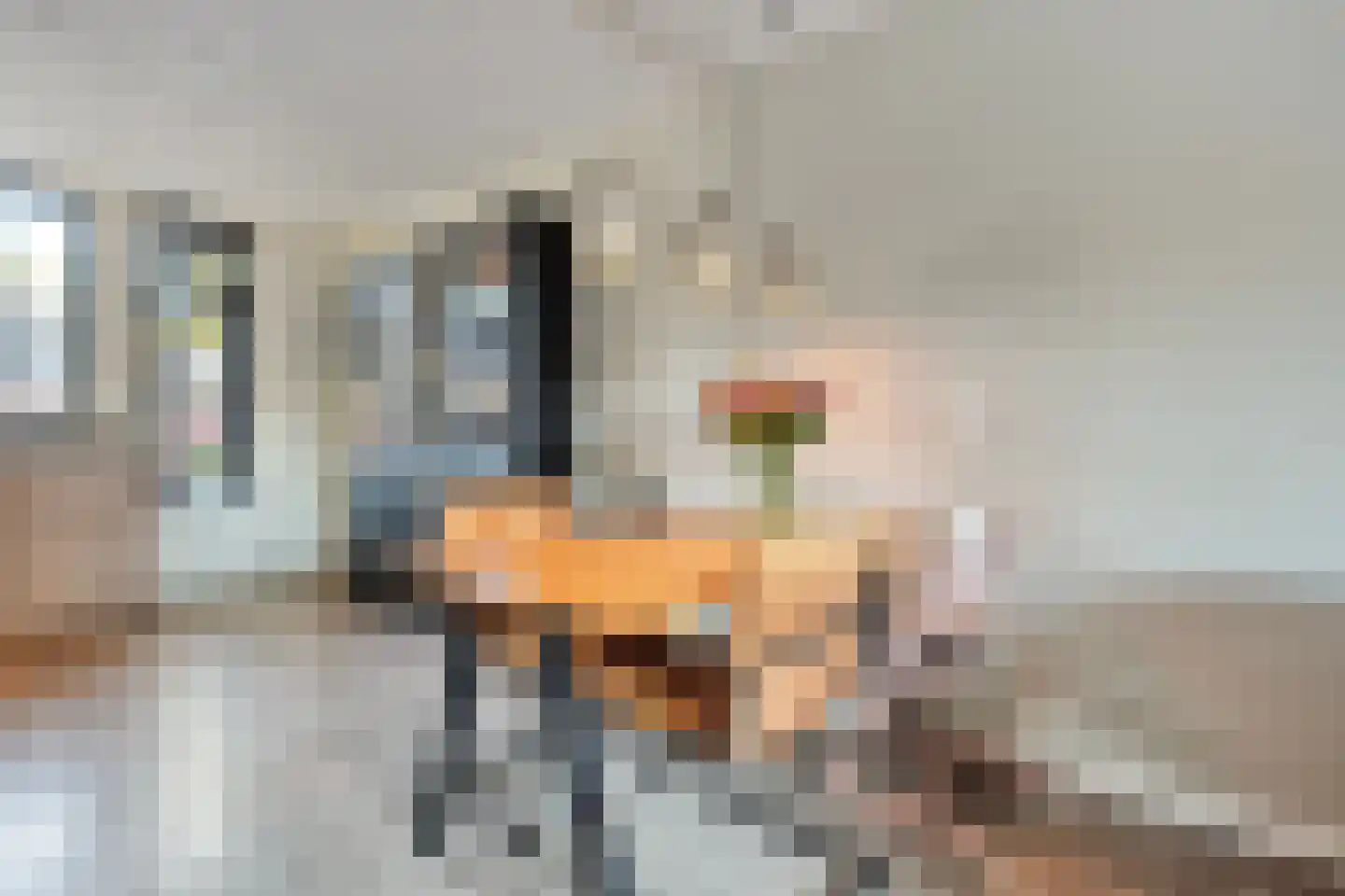 Scheppinckmate 62 Zwolle thumbnail 12