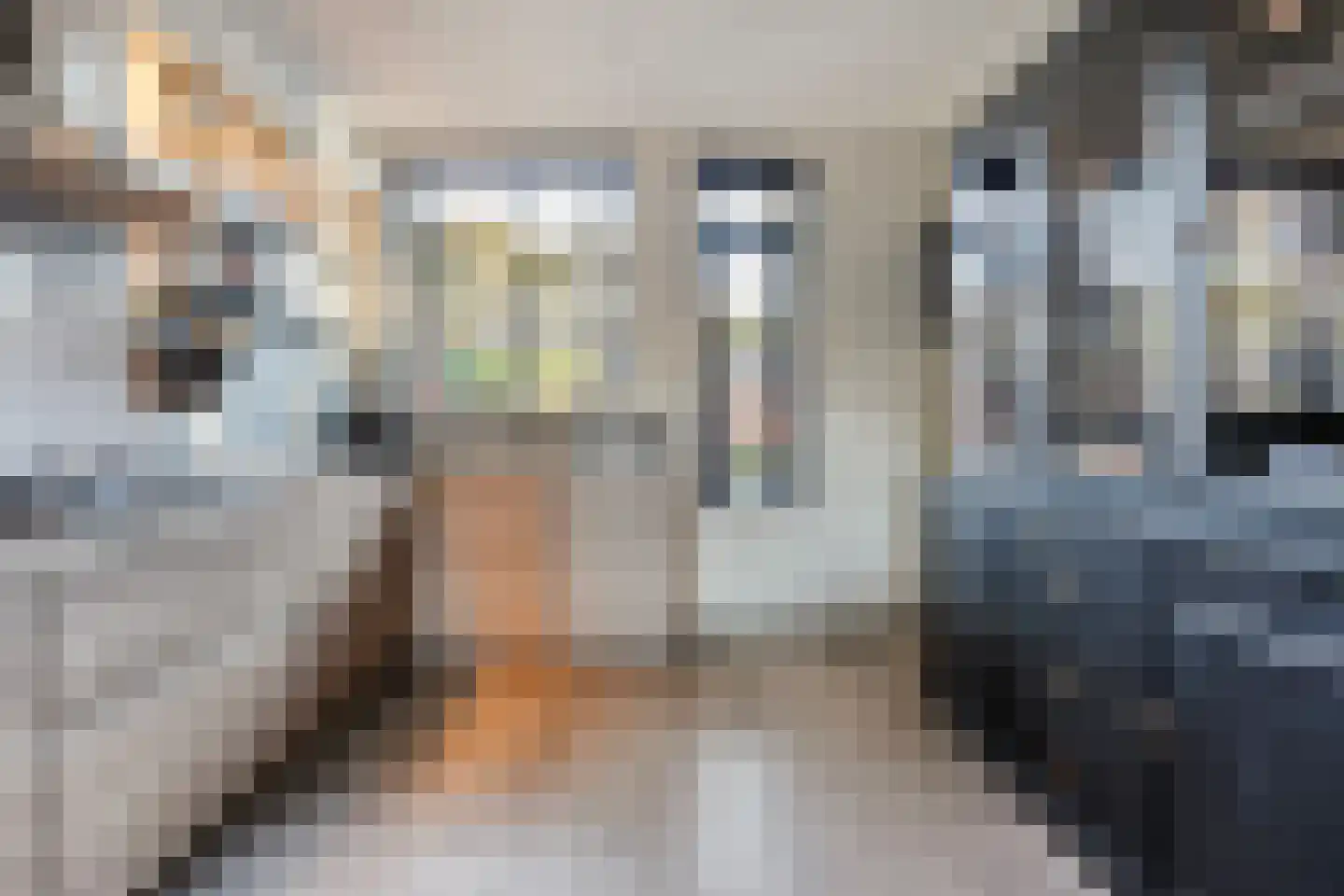 Scheppinckmate 62 Zwolle thumbnail 15